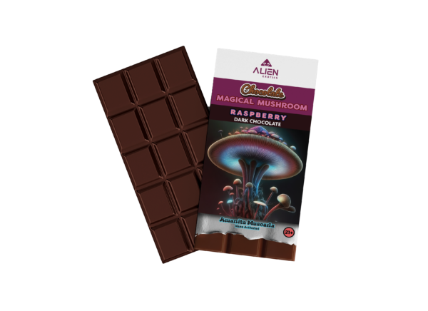 Magical Mushroom Chocolate Bar - Raspberry