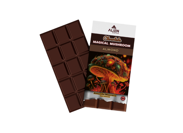 Magical Mushroom Chocolate Bar - Almond