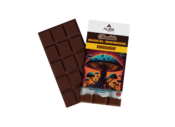 Magical Mushroom Chocolate Bar - Hazelnut